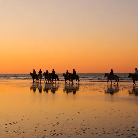 Appartement Havre De Paix à Deux Pas De La - Arrivée Autonome, Parking Privé Et Gratuit *