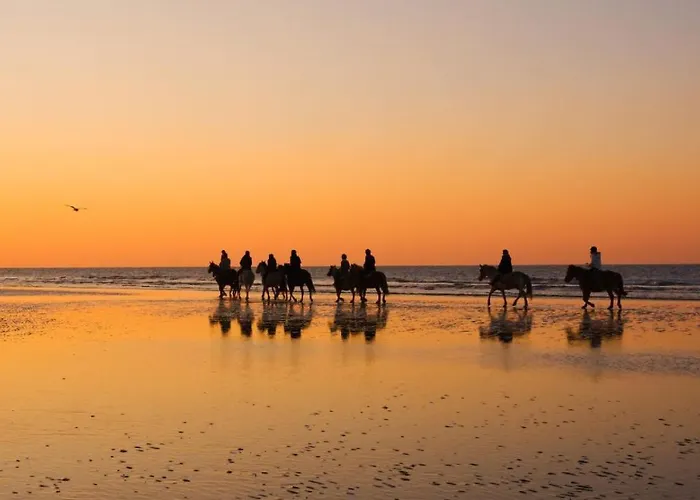 Apartamento Havre De Paix à Deux Pas De La - Arrivée Autonome, Parking Privé Et Gratuit *